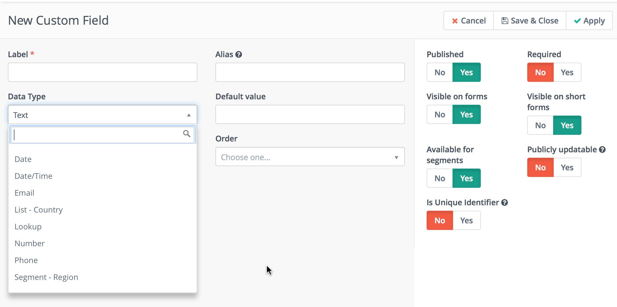 Screenshot of New Custom Field